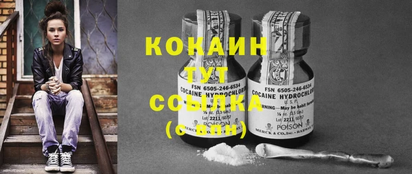 крисы Галич