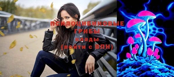винт Гвардейск