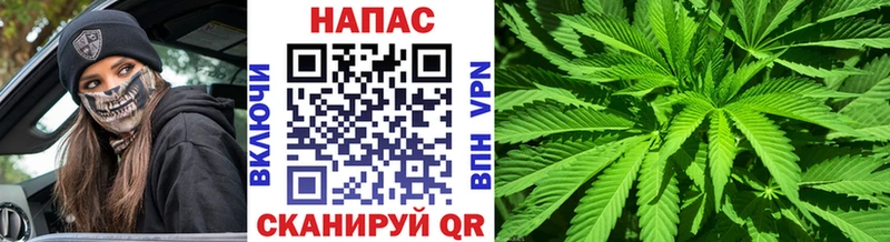 как найти закладки  omg онион  Шишки марихуана тримм  Верхоянск 